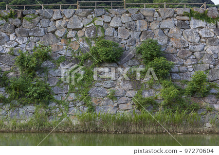 城堡廢墟,萩城遺址,護城河,水面,萩市,萩城,石牆,護城河,山口縣,日本,亞洲 城堡廢墟,萩城遺址,護城河,水面,萩市,萩城,石牆,護城河,山口縣,日本,亞洲 97270604