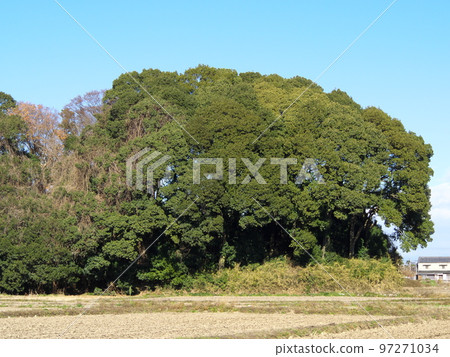 Sasazuka Burial Mound 97271034
