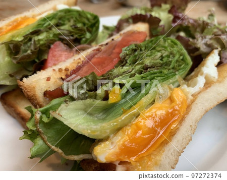 Clubhouse Sandwich Lots of Vegetables 97272374