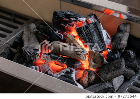 charcoal charcoal 97273644