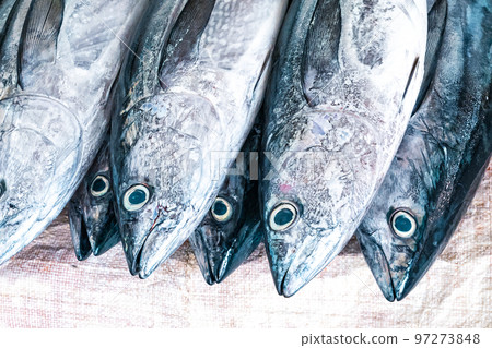 Traditional fish market in Mutrah, Oman. Several types of fish for sale, tuna and other fish. Traditional fish market in Mutrah, Oman. Several types of fish for sale, tuna and other fish. 97273848