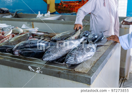 Traditional fish market in Mutrah, Oman. Several types of fish for sale, tuna and other fish. Traditional fish market in Mutrah, Oman. Several types of fish for sale, tuna and other fish. 97273855
