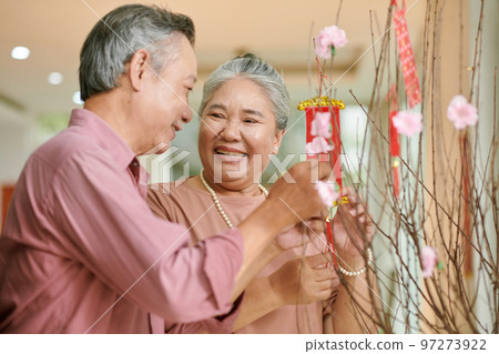 Senior man and woman decoraing peach tree branches for Lunar New Year celebration 97273922