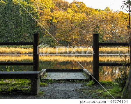 Ryuohgafuchi, where pampas grass shining in the morning glow is reflected Ryuohgafuchi, where pampas grass shining in the morning glow is reflected 97274104