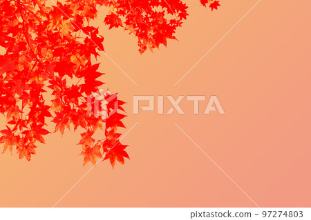 Illustration style maple background - Stock Illustration [97274803] - PIXTA