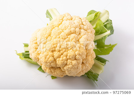 橙色花椰菜(黃色花椰菜) 橙色花椰菜(黃色花椰菜) 97275069