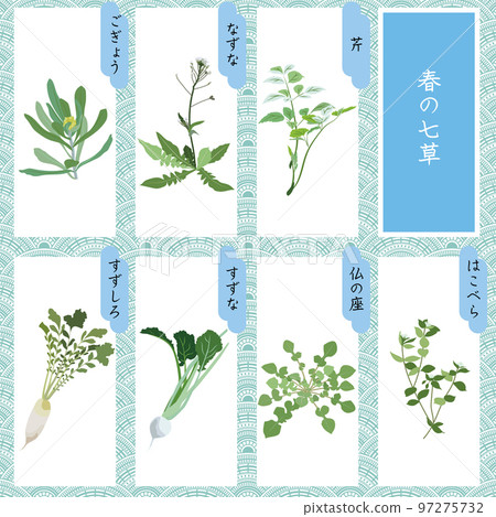 Spring Nanakusa Illustration Set ① Nanakusa New Year 97275732