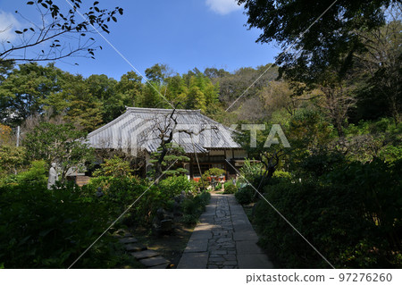 Kakio, a town of persimmons and temples Kakio, a town of persimmons and temples 97276260