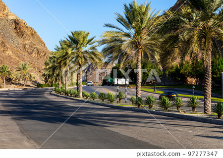 Road with palm trees. Traditional Omani architecture. Old Town of Muscat, Oman. Arabian Peninsula.  97277347