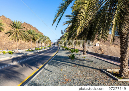 Road with palm trees. Traditional Omani architecture. Old Town of Muscat, Oman. Arabian Peninsula.  97277349