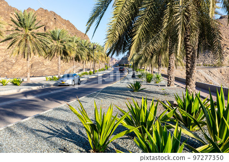 Road with palm trees. Traditional Omani architecture. Old Town of Muscat, Oman. Arabian Peninsula. Road with palm trees. Traditional Omani architecture. Old Town of Muscat, Oman. Arabian Peninsula. 97277350