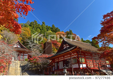 奈良談山神社的十三層寶塔和秋葉的秋葉 97277486