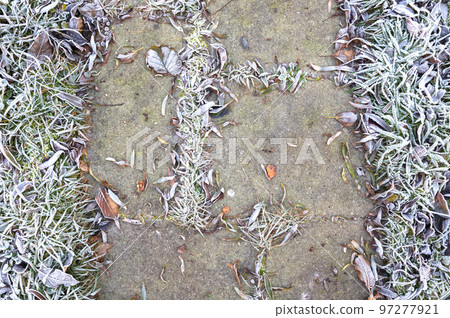 Frost on old fallen leafs 97277921