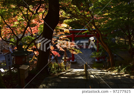 奈良的秋葉 談山神社的秋葉 奈良的秋葉 談山神社的秋葉 97277925