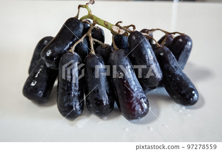 甜藍寶石_葡萄 甜藍寶石_葡萄 97278559