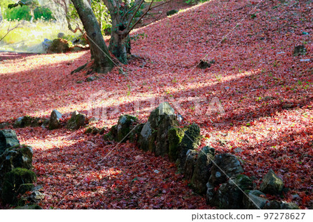 朝聖之路上的落葉 朝聖之路上的落葉 97278627