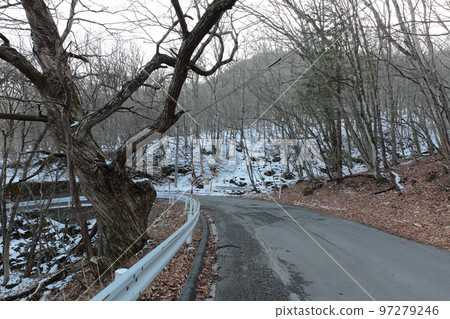 冬季栃木縣立森林縣道56號山站高原附近 97279246