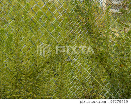 open space surrounded by fence open space surrounded by fence 97279419