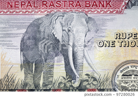 Elephant from Nepalese rupee Elephant from Nepalese rupee 97280026