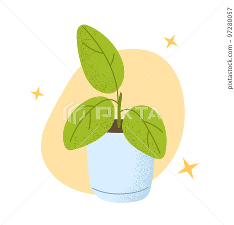 Ficus in pot. House indoor plant. Flat vector illustrations isolated 97280057