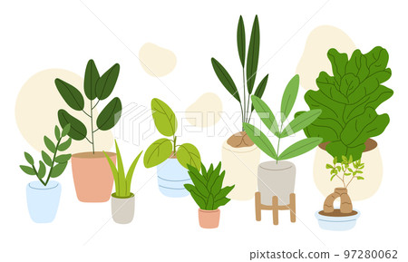 Potted house indoor plants set. Different foliage decor. Plants for house and office interior decoration. Flat vector illustration 97280062