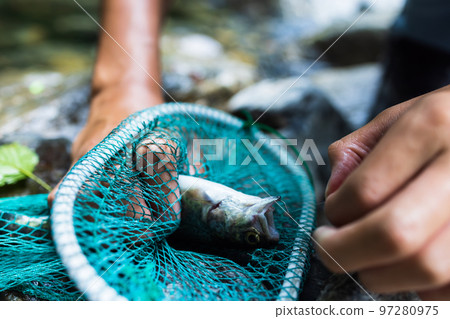 孩子們在溪流中享受釣魚 97280975