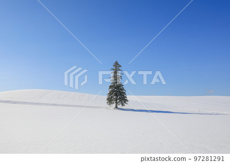 [Biei Town, Hokkaido] Blue sky, snowy field and Christmas tree 97281291