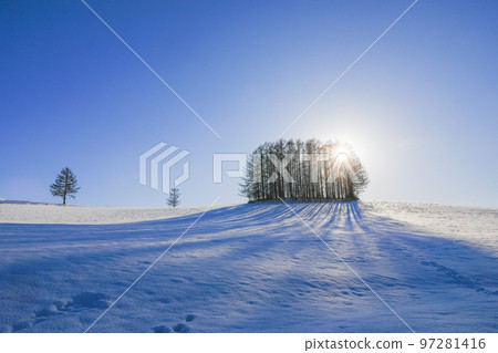 【北海道美瑛町】藍天、陽光、溫和七山 【北海道美瑛町】藍天、陽光、溫和七山 97281416