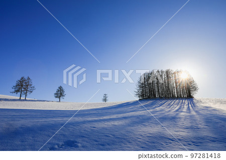 [Biei Town, Hokkaido] Blue Sky, Sun and Mild Seven Hills 97281418