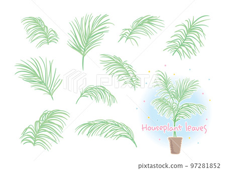 Leaf materials of foliage plants that can be combined 97281852