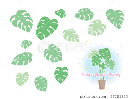 可組合的觀葉植物葉材 97281853