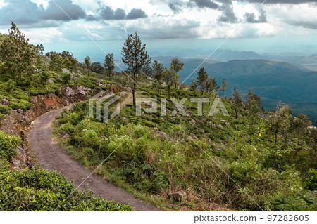 Sri Lanka Tea Plantation. Green Fields. Haputale, Sri Lanka. Sri Lanka Tea Plantation. Green Fields. Haputale, Sri Lanka. 97282605