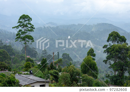Sri Lanka Tea Plantation. Green Fields. Haputale, Sri Lanka. Sri Lanka Tea Plantation. Green Fields. Haputale, Sri Lanka. 97282608