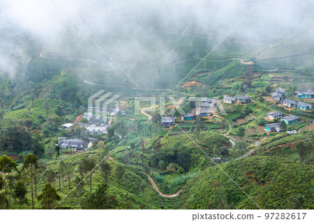 Sri Lanka Tea Plantation. Green Fields. Haputale, Sri Lanka. 97282617
