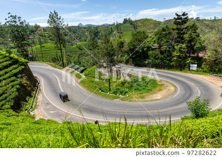 Sri Lanka Tea Plantation. Green Fields. Haputale, Sri Lanka. 97282622