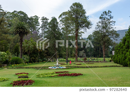 Sri Lanka Tea Plantation. Green Fields. Haputale, Sri Lanka. 97282640