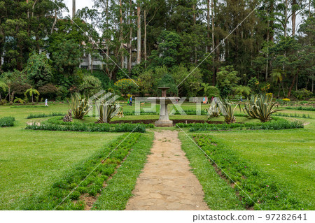 Sri Lanka Tea Plantation. Green Fields. Haputale, Sri Lanka. 97282641