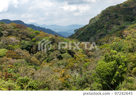 Sri Lanka Tea Plantation. Green Fields. Haputale, Sri Lanka. Sri Lanka Tea Plantation. Green Fields. Haputale, Sri Lanka. 97282645
