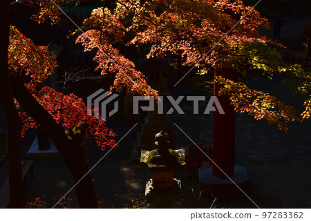 奈良的秋葉 談山神社的秋葉 奈良的秋葉 談山神社的秋葉 97283362