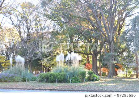 駒澤公園/世田谷駒澤 駒澤公園/世田谷駒澤 97283680