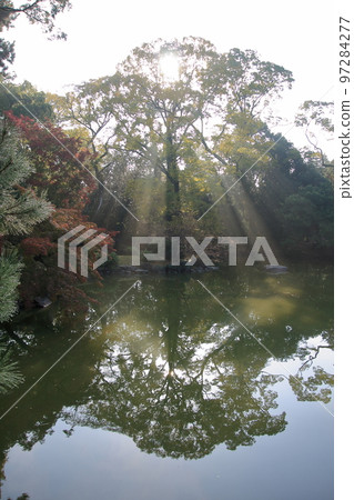 Autumn leaves of Kyoto Imperial Palace in the early morning of November 2020 Autumn leaves of Kyoto Imperial Palace in the early morning of November 2020 97284277