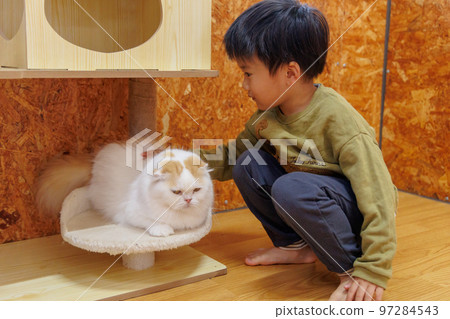child who loves cats 97284543