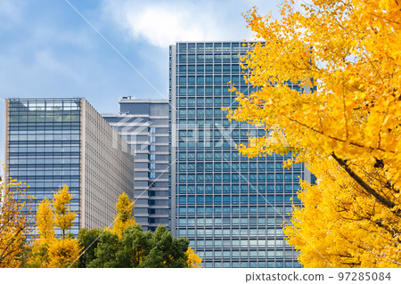 Buildings in Tokyo and brightly colored ginkgo trees Buildings in Tokyo and brightly colored ginkgo trees 97285084