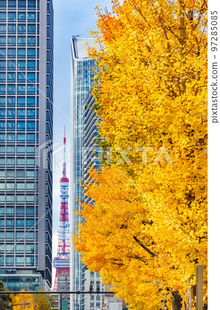 Buildings in Tokyo and brightly colored ginkgo trees Buildings in Tokyo and brightly colored ginkgo trees 97285085