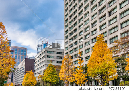 Buildings in Tokyo and brightly colored ginkgo trees Buildings in Tokyo and brightly colored ginkgo trees 97285101