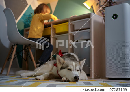 Air purifier in the children's room with an allergy child and a dog Air purifier in the children's room with an allergy child and a dog 97285169