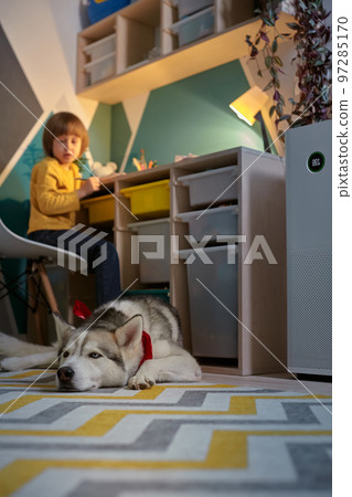 Allergy Child, pet dog and air purifier in children's room 97285170