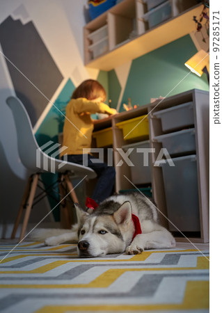 Child and pet dog together in the children's room Child and pet dog together in the children's room 97285171