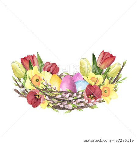Willow nest watercolor with Tulips, daffodil, colored eggs isolated on white. Hand drawing Easter illustration design 97286119