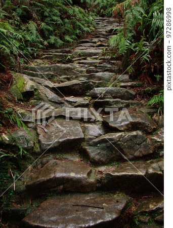 Kumano Kodo Magose Pass stone pavement after rain Kumano Kodo Magose Pass stone pavement after rain 97286998